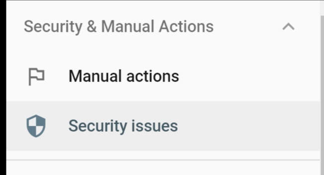 Security & Manual Actions